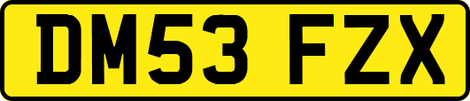 DM53FZX