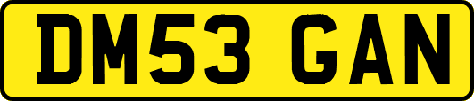 DM53GAN