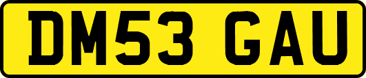 DM53GAU