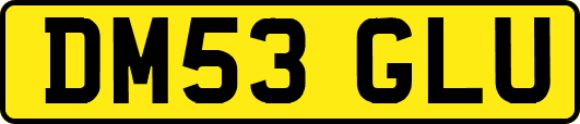 DM53GLU