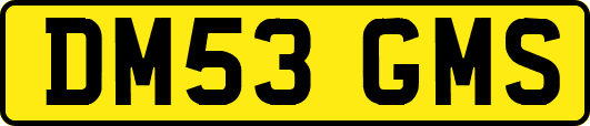 DM53GMS
