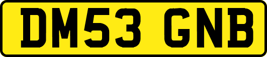 DM53GNB