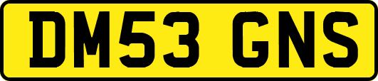 DM53GNS