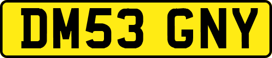 DM53GNY