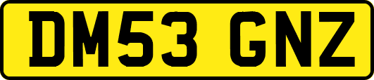 DM53GNZ