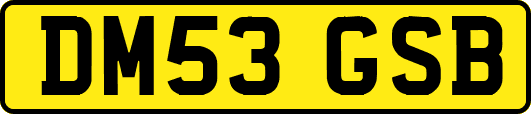 DM53GSB