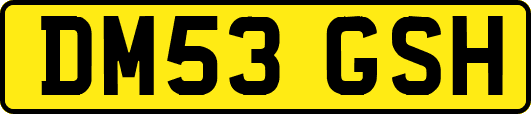 DM53GSH