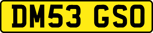 DM53GSO