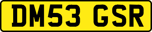 DM53GSR
