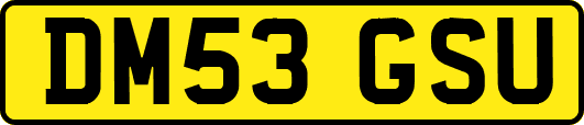 DM53GSU