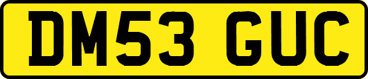 DM53GUC
