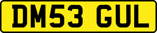 DM53GUL