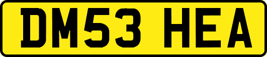 DM53HEA
