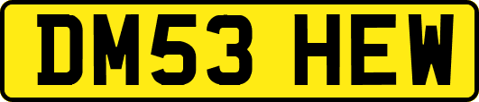 DM53HEW