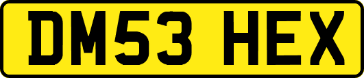 DM53HEX