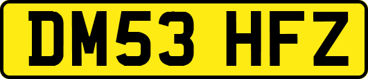 DM53HFZ
