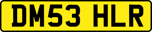 DM53HLR