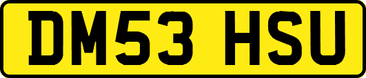 DM53HSU