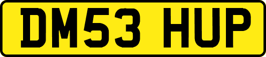 DM53HUP