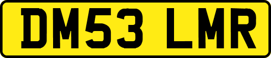 DM53LMR