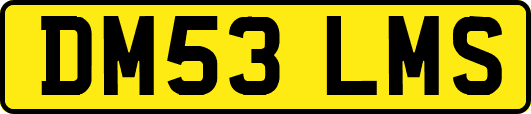 DM53LMS