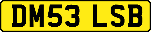 DM53LSB