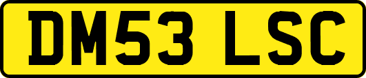 DM53LSC
