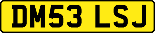DM53LSJ
