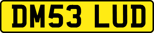 DM53LUD