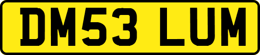 DM53LUM