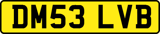 DM53LVB