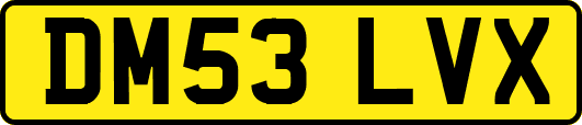 DM53LVX