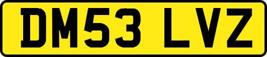 DM53LVZ