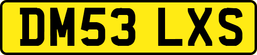 DM53LXS