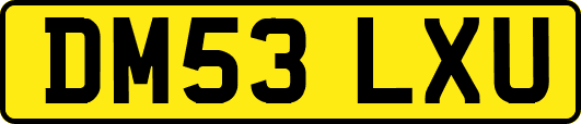 DM53LXU