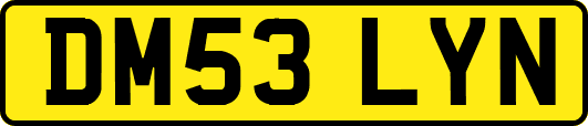 DM53LYN