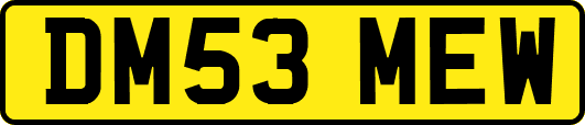 DM53MEW