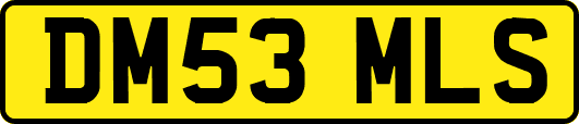 DM53MLS