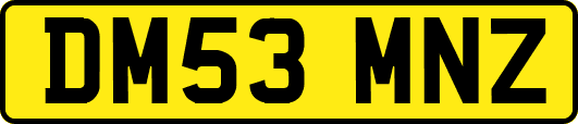 DM53MNZ