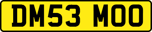 DM53MOO
