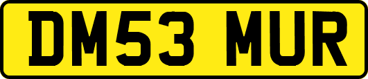 DM53MUR