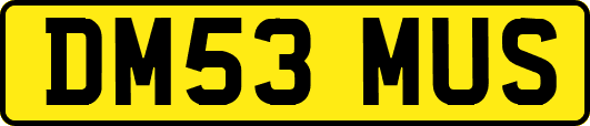 DM53MUS