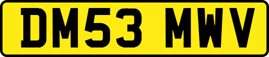 DM53MWV