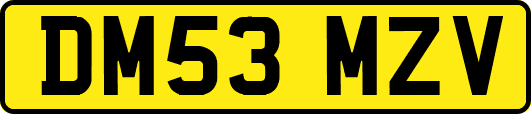 DM53MZV