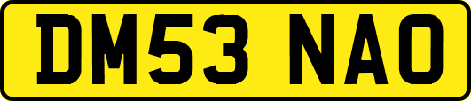 DM53NAO