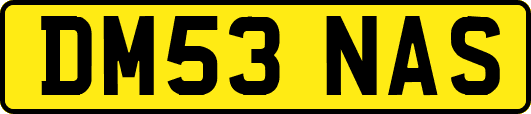 DM53NAS