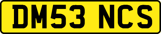 DM53NCS