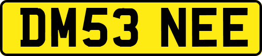 DM53NEE