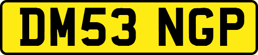 DM53NGP