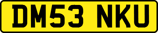 DM53NKU